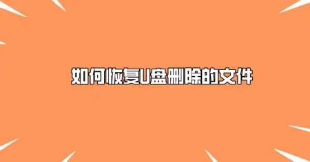 如何恢复U盘删除的文件？四个最新图文教程丨如何恢复u盘里删除的文件夹